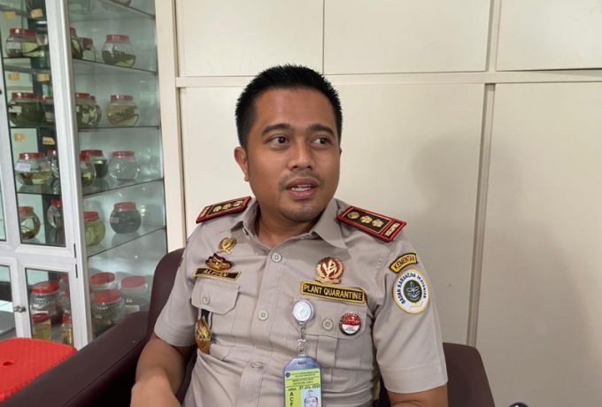 WhatsApp Image 2022-11-24 at 15.05.25