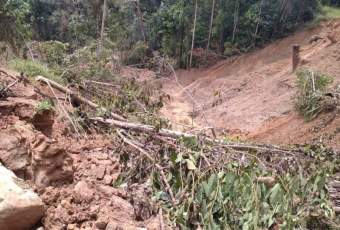 03C8C015-4DF7-4F36-8CF3-2E23D8A89A4B