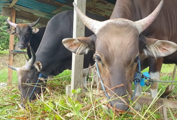 WhatsApp Image 2022-12-19 at 09.52.35