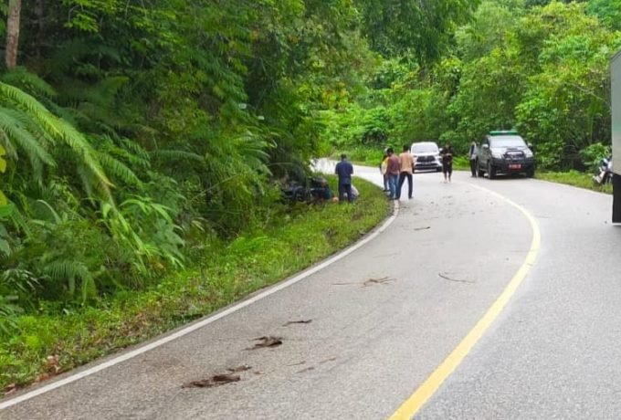 WhatsApp Image 2023-02-18 at 13.26.41