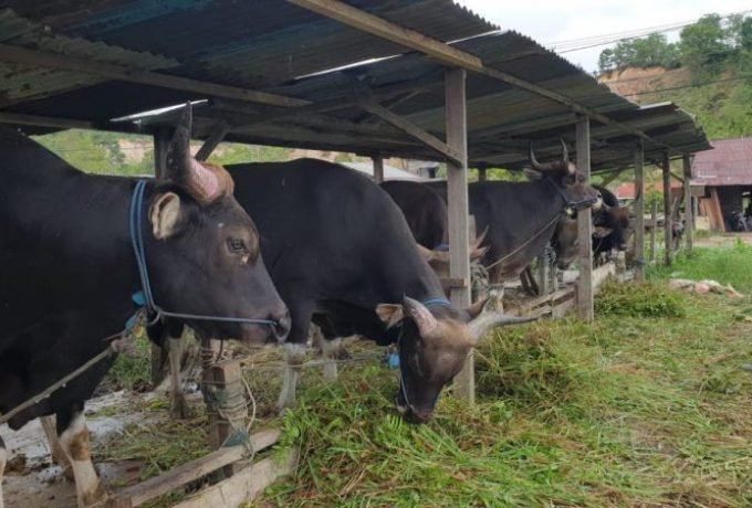 WhatsApp Image 2023-05-06 at 14.03.15