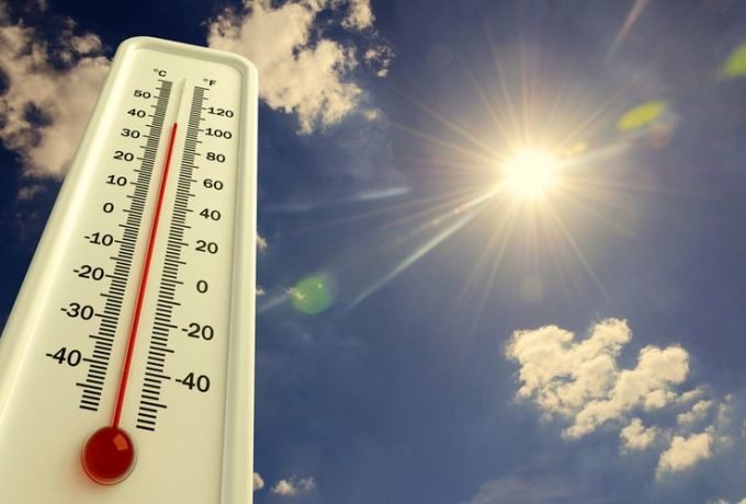 WhatsApp Image 2023-05-24 at 15.14.26