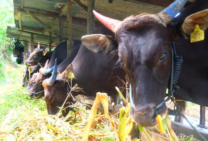 WhatsApp Image 2023-07-28 at 13.30.34