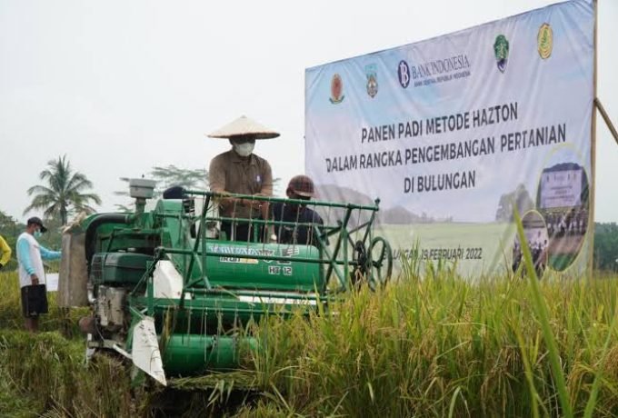 WhatsApp Image 2023-08-02 at 14.39.10