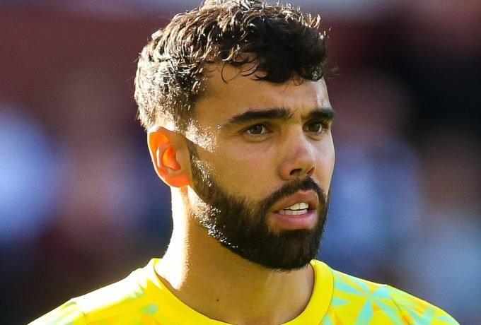 david-raya-brentford