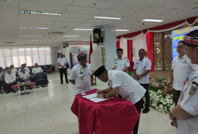 WhatsApp Image 2024-03-06 at 16.10.42