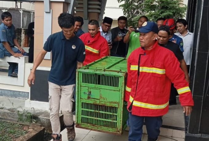 WhatsApp Image 2024-03-28 at 10.09.44 AM