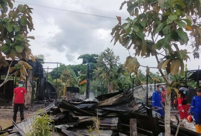 WhatsApp Image 2024-05-21 at 15.21.29