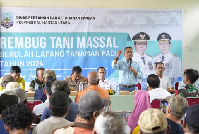 WhatsApp Image 2024-06-26 at 14.21.48