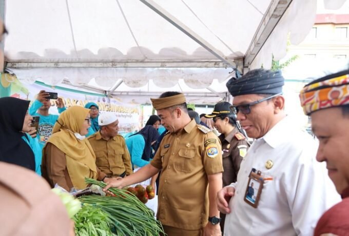 WhatsApp Image 2024-08-02 at 14.36.46