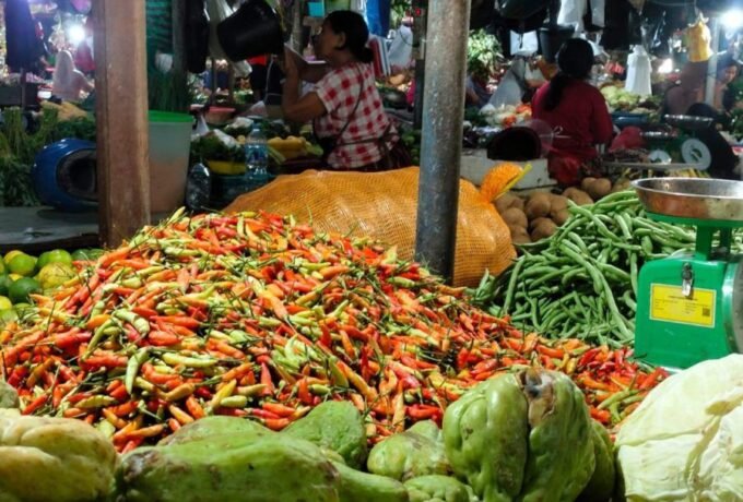 WhatsApp Image 2024-08-06 at 15.29.07