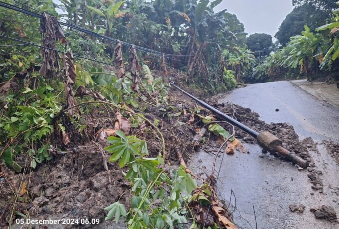 WhatsApp Image 2024-12-05 at 13.53.46