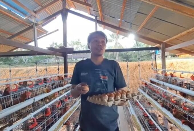 WhatsApp Image 2025-01-06 at 15.58.31 (1)