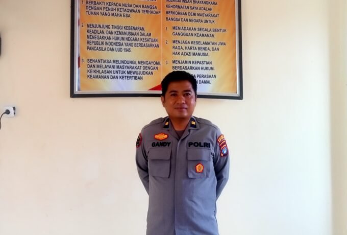 WhatsApp Image 2025-02-03 at 17.29.43