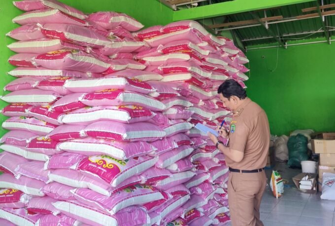 WhatsApp Image 2025-02-11 at 15.55.41