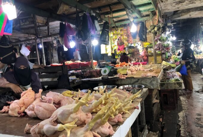 WhatsApp Image 2025-02-13 at 11.48.10