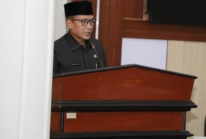 WhatsApp Image 2025-02-25 at 11.40.41