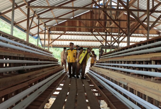 WhatsApp Image 2025-04-30 at 09.03.29