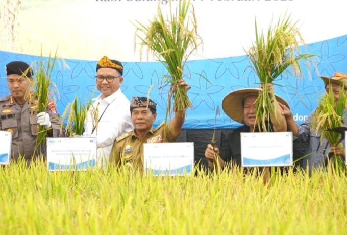 IMG-20250212-WA0013-scaled