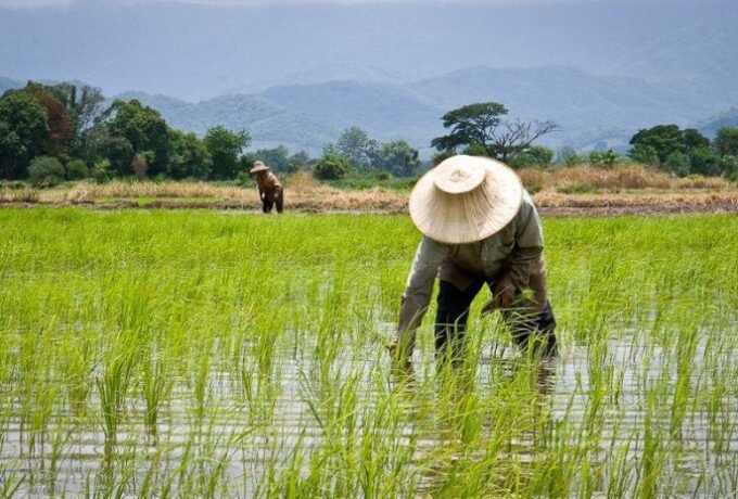 WhatsApp Image 2025-05-08 at 15.01.32_48c740cd