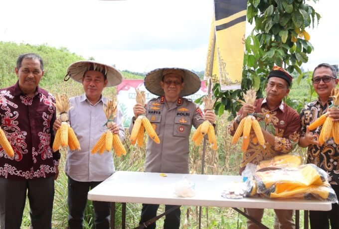 WhatsApp Image 2025-06-06 at 17.27.17