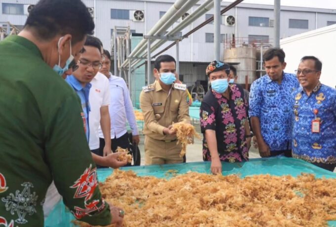 WhatsApp Image 2025-06-18 at 09.28.15