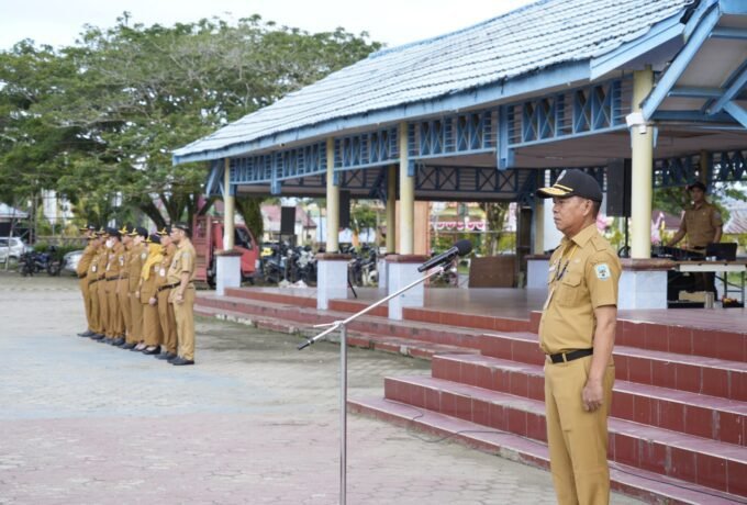 WhatsApp Image 2025-08-11 at 15.13.21