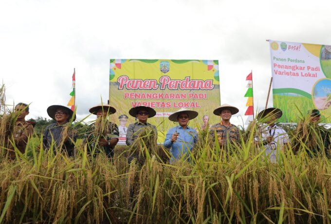 WhatsApp Image 2025-08-20 at 14.46.58