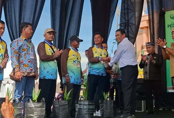 WhatsApp Image 2025-09-29 at 15.17.44