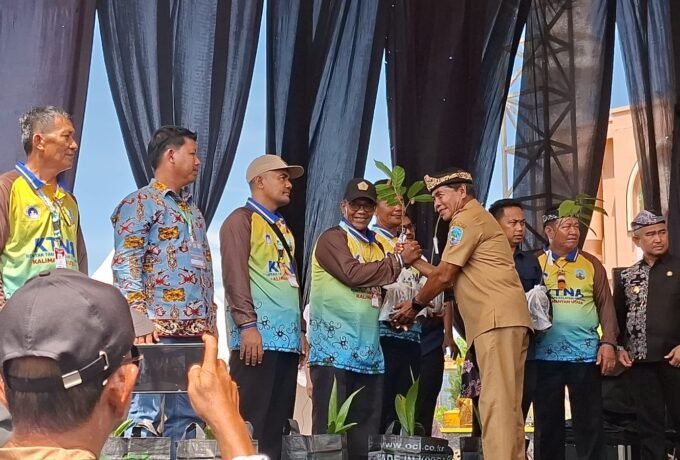 WhatsApp Image 2025-09-29 at 15.58.51