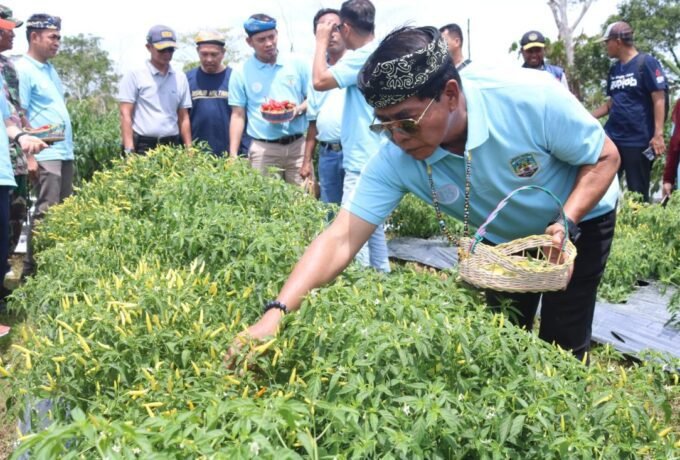 IMG-20230217-WA0048-scaled