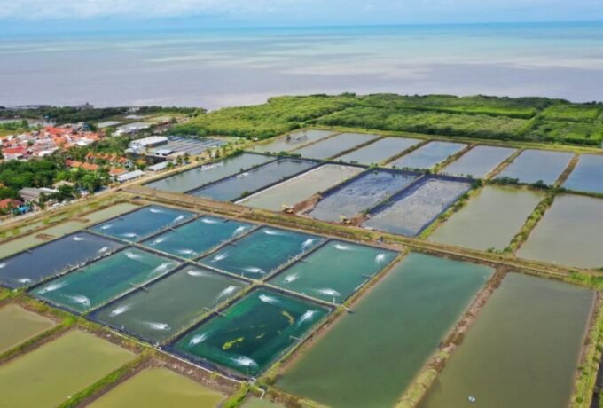 WhatsApp-Image-2024-06-27-at-14.54.50