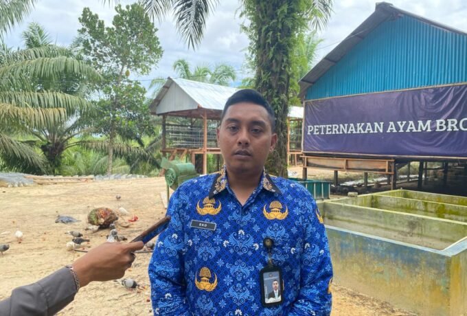 WhatsApp Image 2025-11-19 at 15.11.35