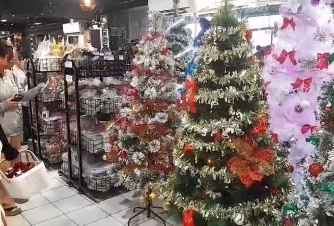 WhatsApp Image 2025-12-04 at 11.53.07