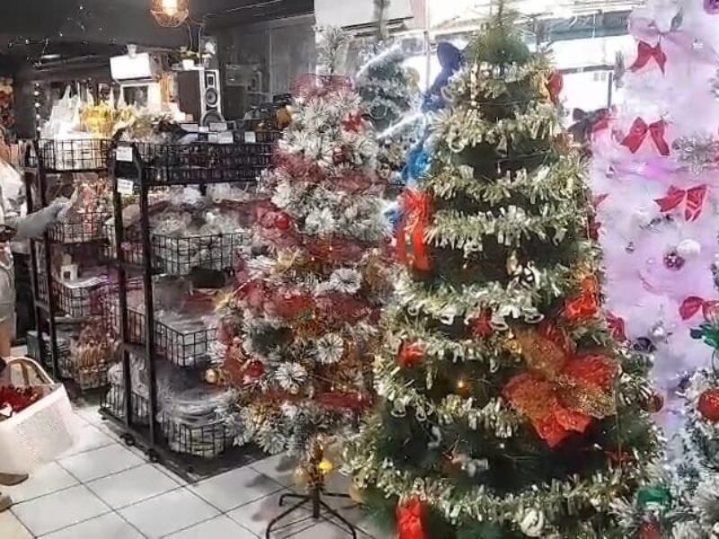 WhatsApp Image 2025-12-04 at 11.53.07