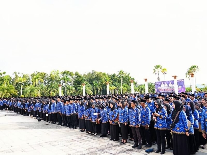 WhatsApp Image 2025-12-08 at 15.40.11