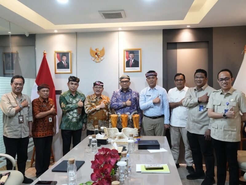 WhatsApp Image 2025-12-11 at 15.52.22 (1)