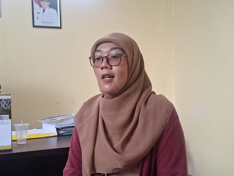 WhatsApp Image 2025-12-11 at 16.07.26