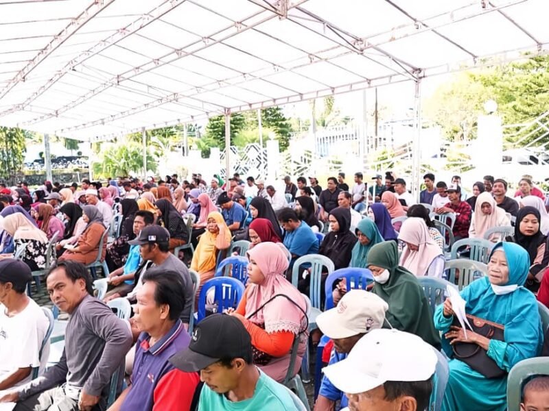 WhatsApp Image 2025-12-12 at 13.06.43