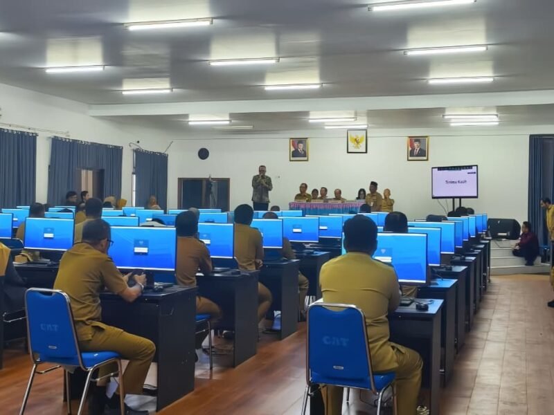 WhatsApp Image 2025-12-15 at 12.46.51