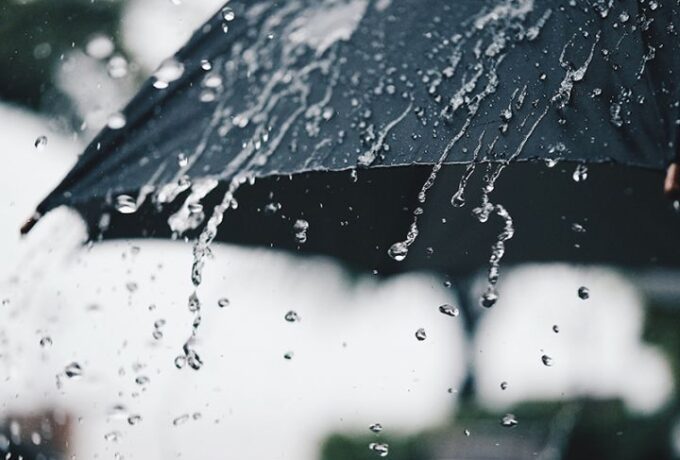 WhatsApp Image 2025-12-31 at 12.52.10