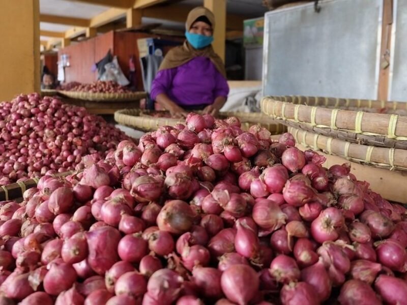 produksi-melimpah-harga-bawang-merah-di-diy-anjlok-220722t