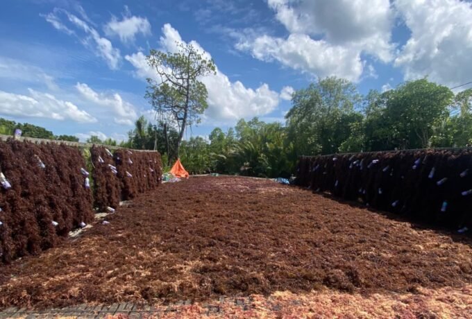 WhatsApp Image 2026-01-07 at 14.00.31