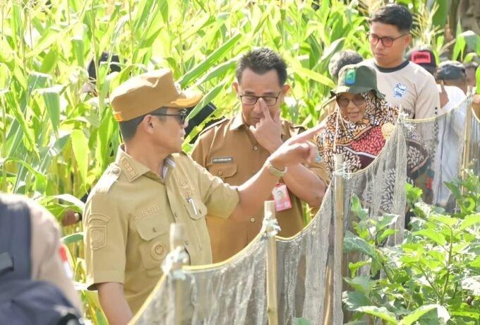 WhatsApp Image 2026-01-08 at 14.09.31