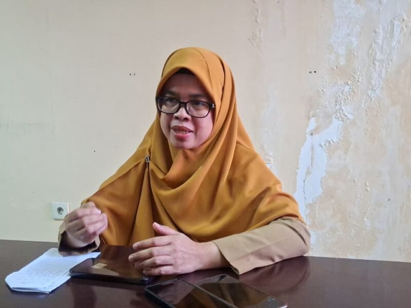 WhatsApp Image 2026-01-13 at 15.24.42