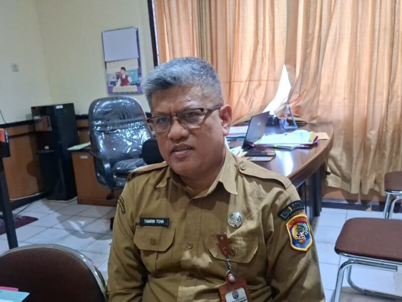 WhatsApp Image 2026-01-13 at 15.25.57