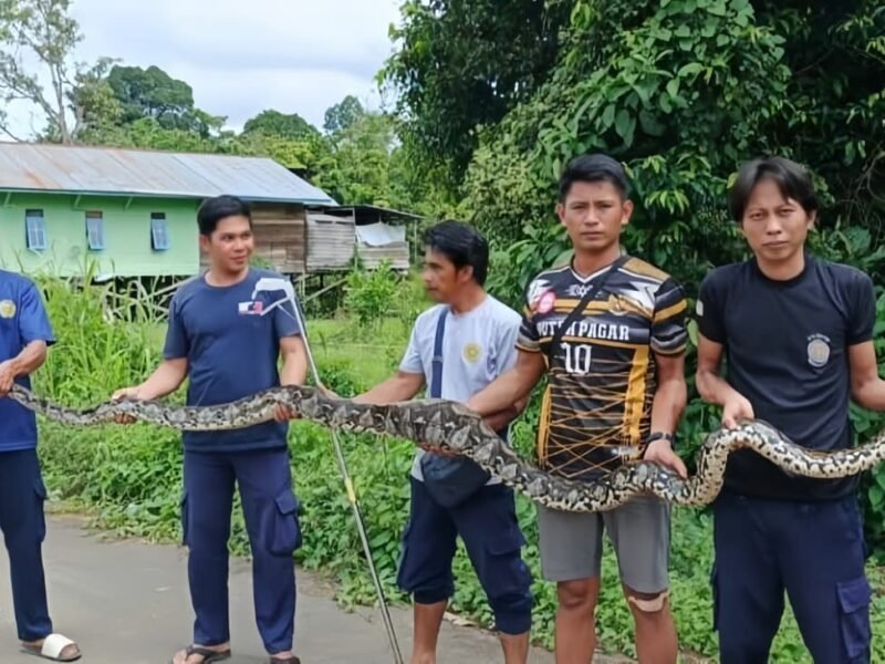 WhatsApp Image 2026-01-14 at 10.52.13