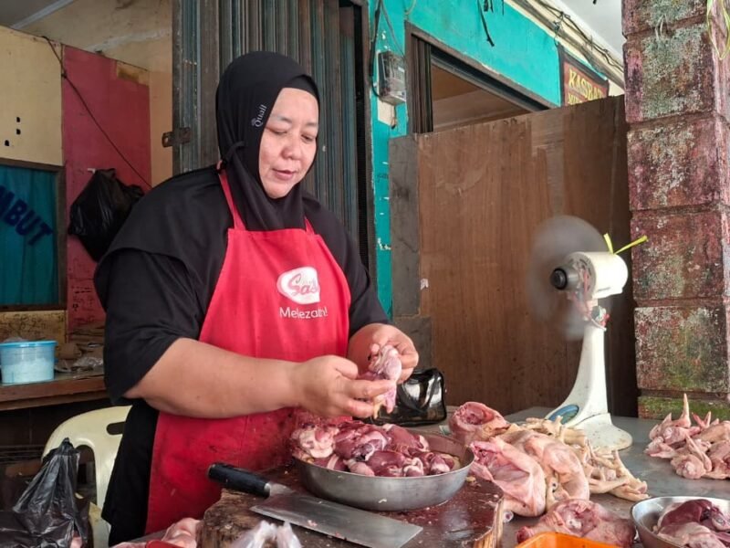 WhatsApp Image 2026-01-14 at 13.07.12