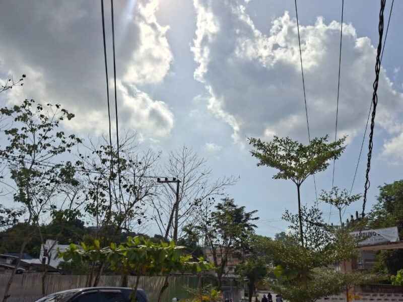 WhatsApp Image 2026-01-14 at 14.04.19