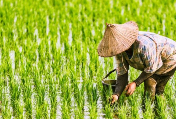 WhatsApp Image 2026-01-20 at 15.07.56 (1)